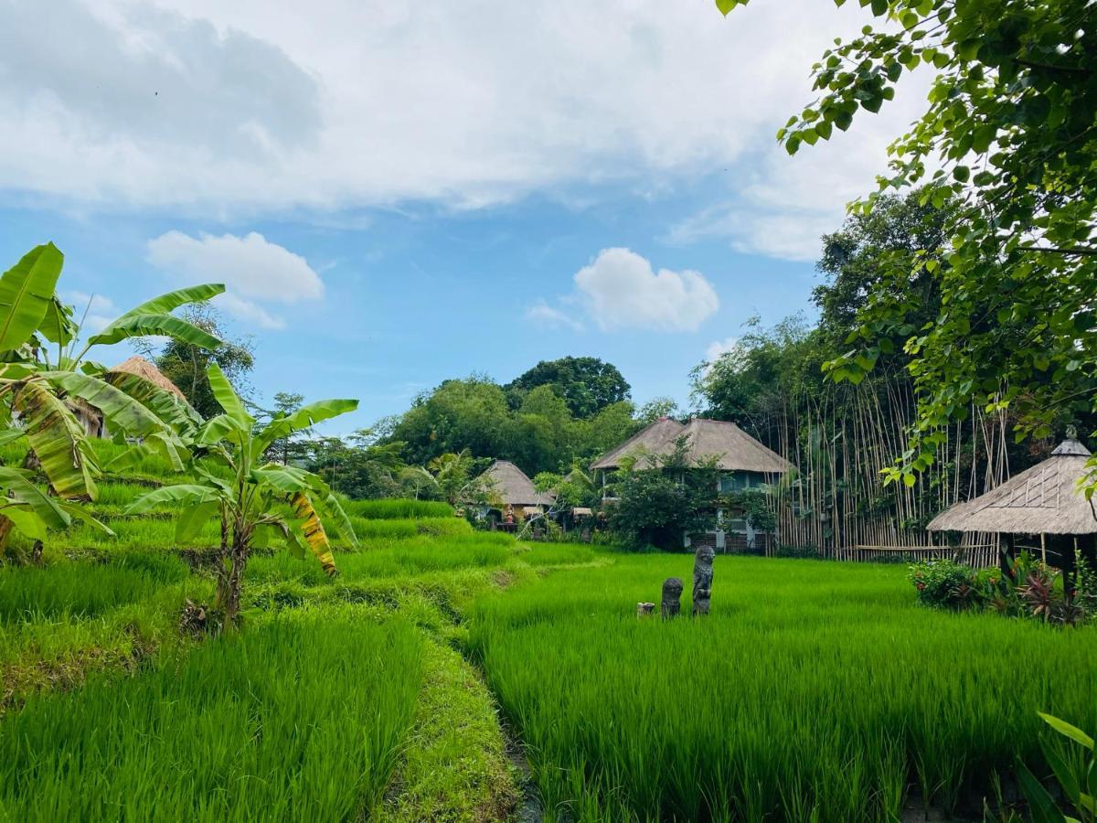 Kts Balinese Villas Чангу Экстерьер фото